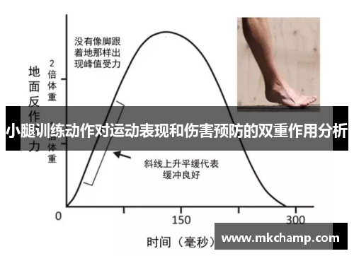 小腿训练动作对运动表现和伤害预防的双重作用分析